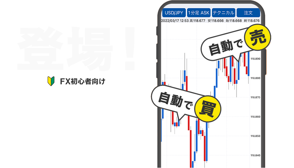 FX初心者向け