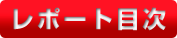 レポート目次