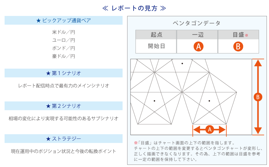 レポートの見方