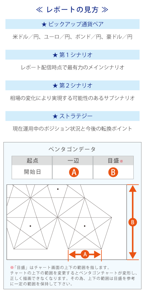 レポートの見方